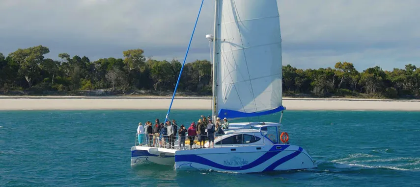 Fraser Island Sailing Tour - Book Online | Experience Oz