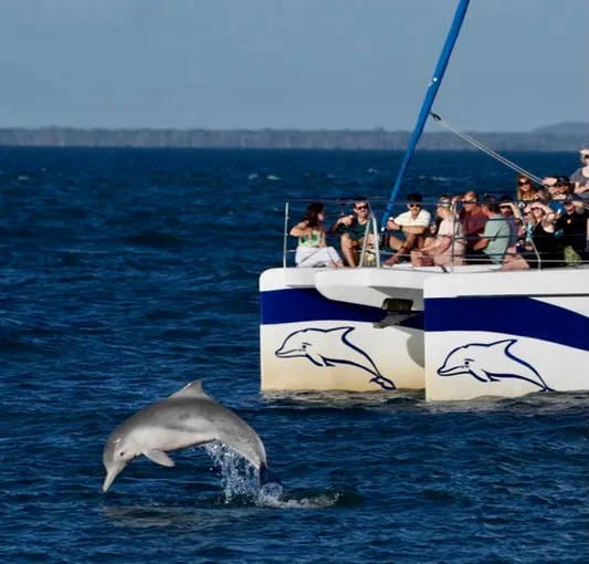 Fraser Island Sailing Tour - Book Online | Experience Oz
