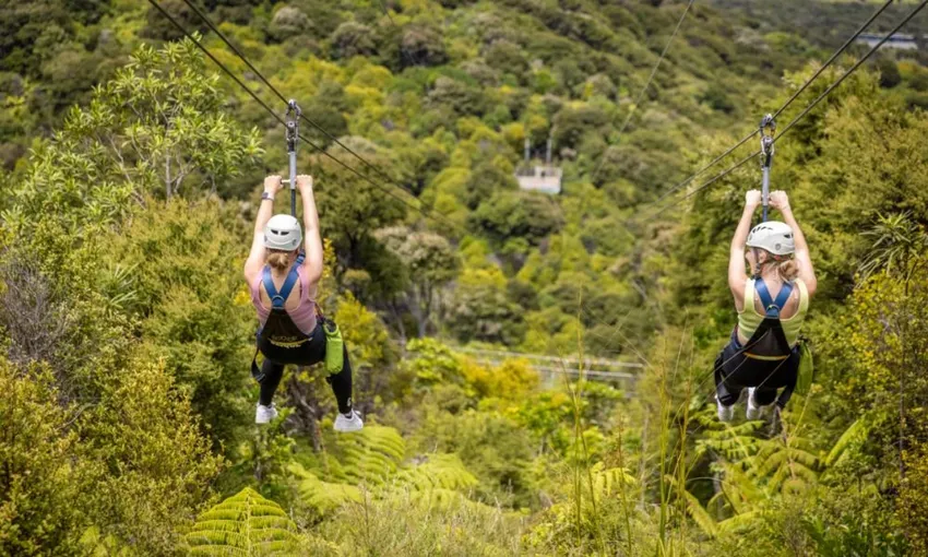 Ziplining Waiheke Island - Book Now | Experience Oz