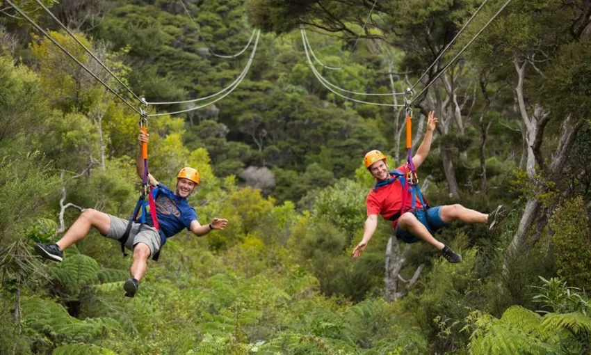 Ziplining Waiheke Island - Book Now | Experience Oz