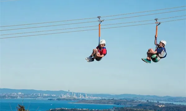Waiheke Island Zipline Tour - 3 Hours