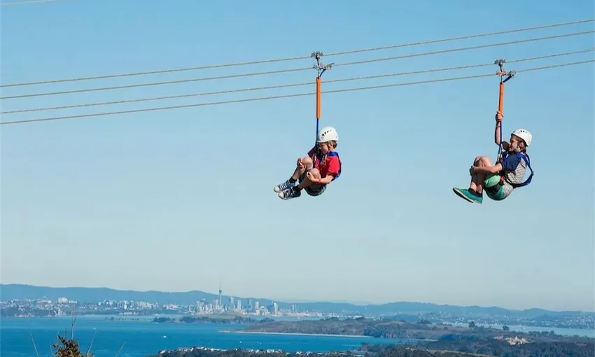 Ziplining Waiheke Island - Book Now | Experience Oz
