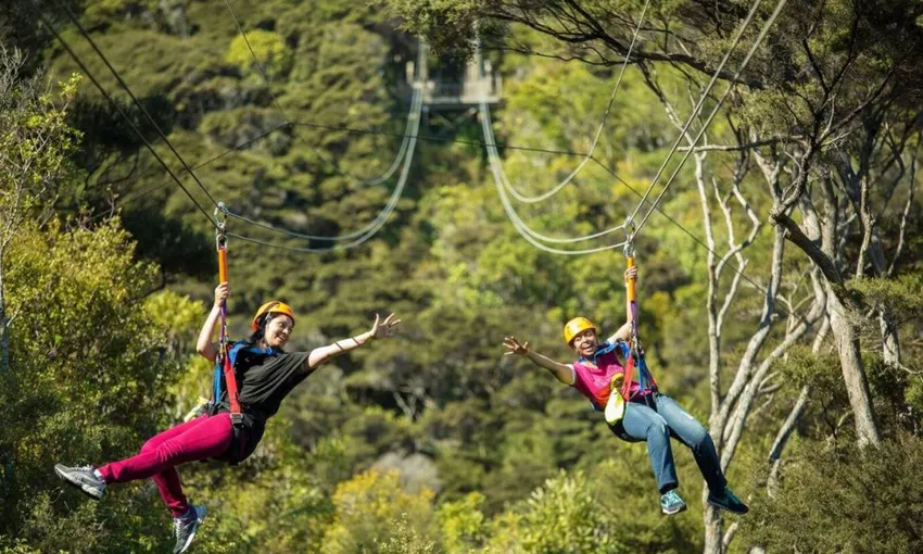 Ziplining Waiheke Island - Book Now | Experience Oz
