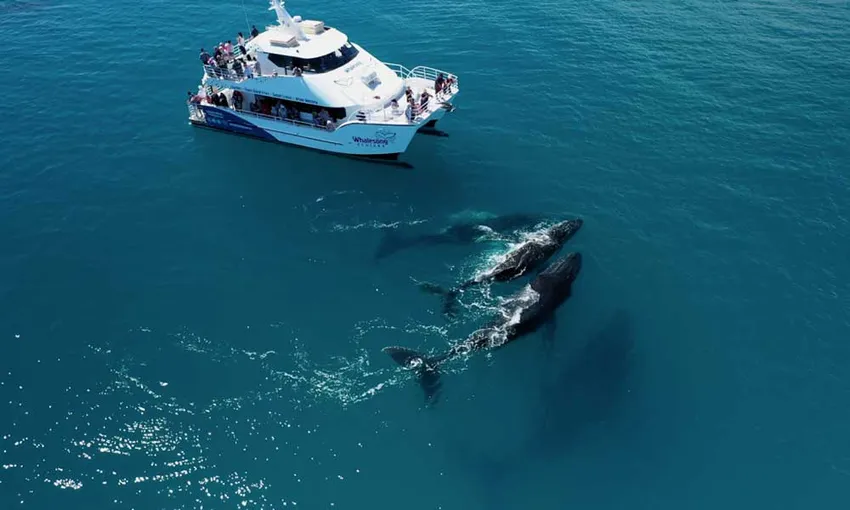 Fraser Island Cruise with BBQ Lunch - Book Now | Experience Oz
