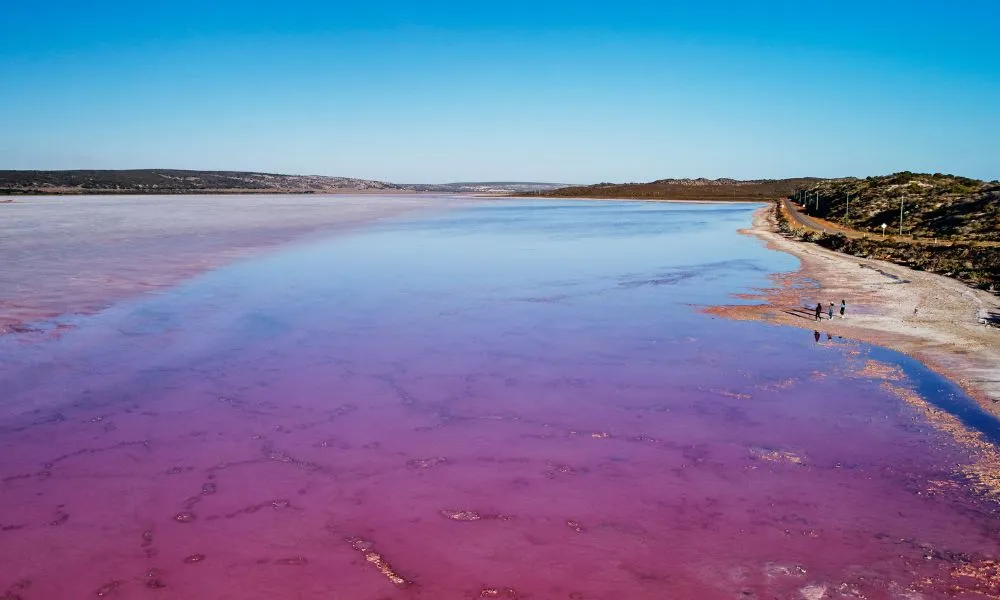 Pink Lakes Scenic Flight From Kalbarri | Experience Oz		-7