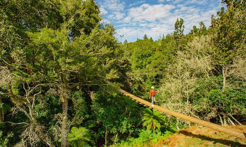 Okere Zip Line Adventure Rotorua - Book Now | Experience Oz
