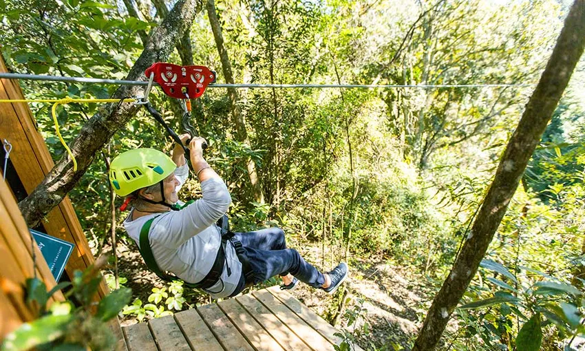 Okere Zip Line Adventure Rotorua - Book Now | Experience Oz