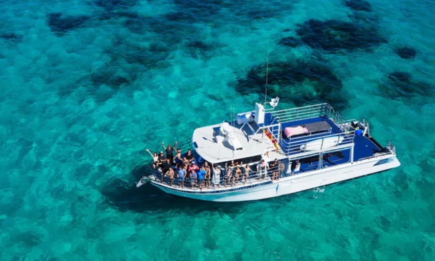 Ningaloo Reef Whale Shark Swim with Lunch and Photos | Experience Oz