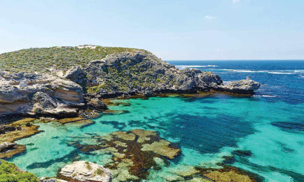 One Way Scenic Flight To Rottnest Island - Book Now | Experience Oz-3