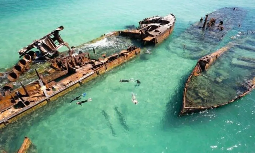 Moreton Island Eco Day Cruise From Redcliffe - Book Now | Experience Oz-2