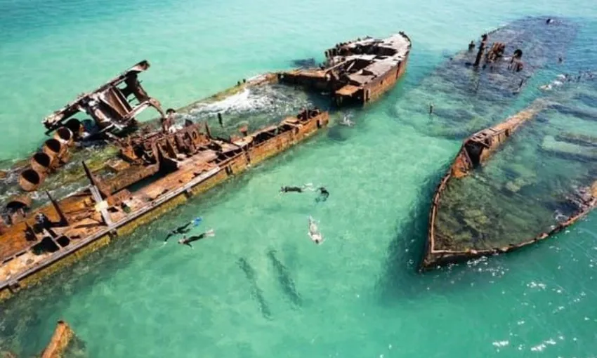 Moreton Island Eco Day Cruise From Redcliffe - Book Now | Experience Oz