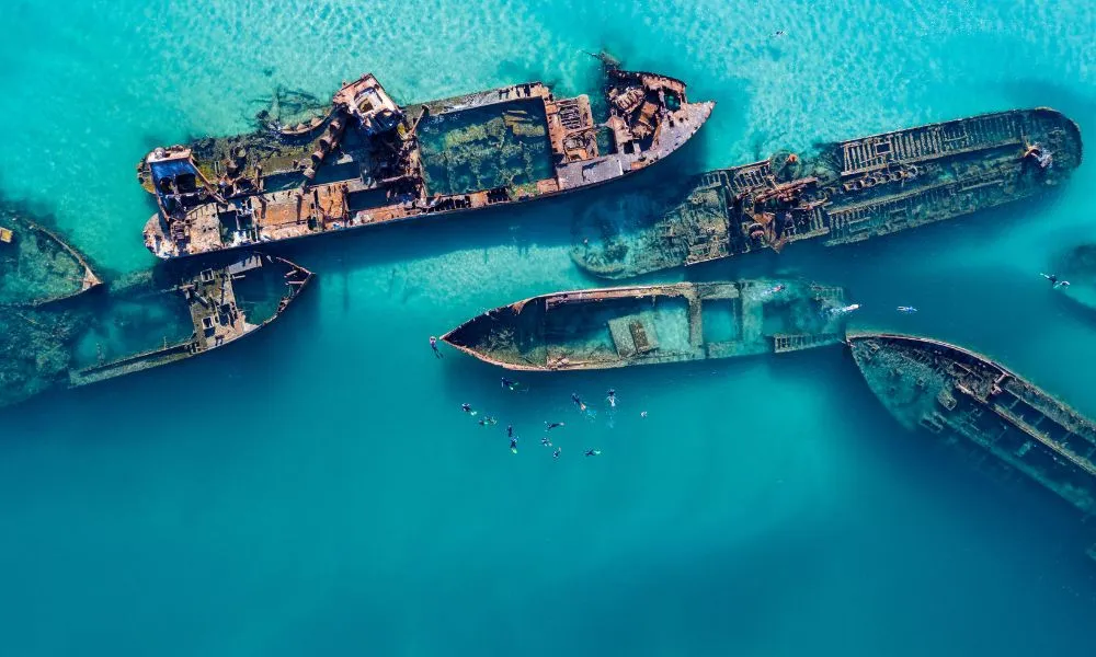 Moreton Island Eco Day Cruise From Redcliffe - Book Now | Experience Oz-6