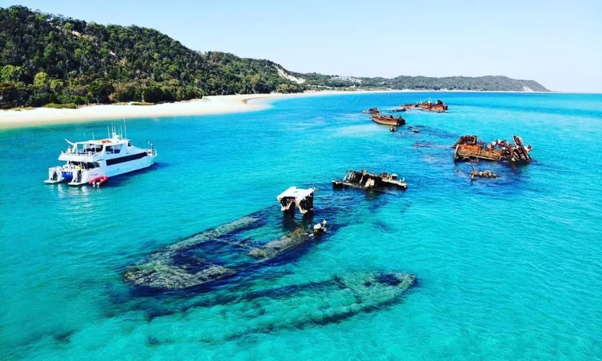 Moreton Island Eco Day Cruise From Redcliffe - Book Now | Experience Oz