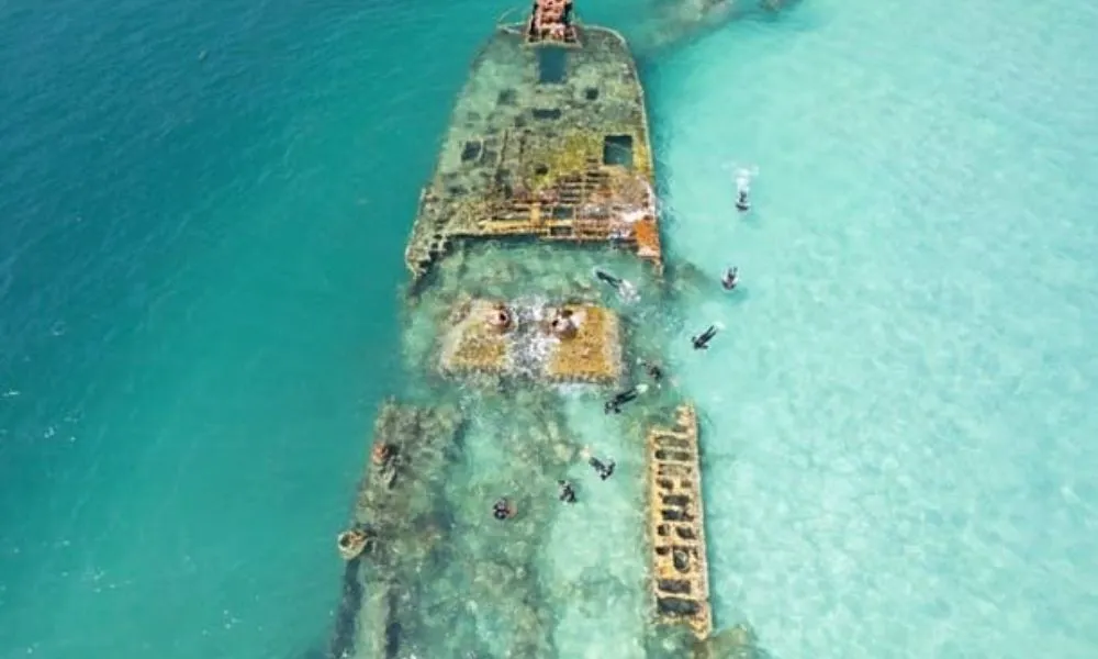 Moreton Island Eco Day Cruise From Redcliffe - Book Now | Experience Oz-3