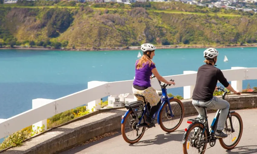 Electric Bays Tour - Guided Wellington Electric Bike Tour | Experience Oz