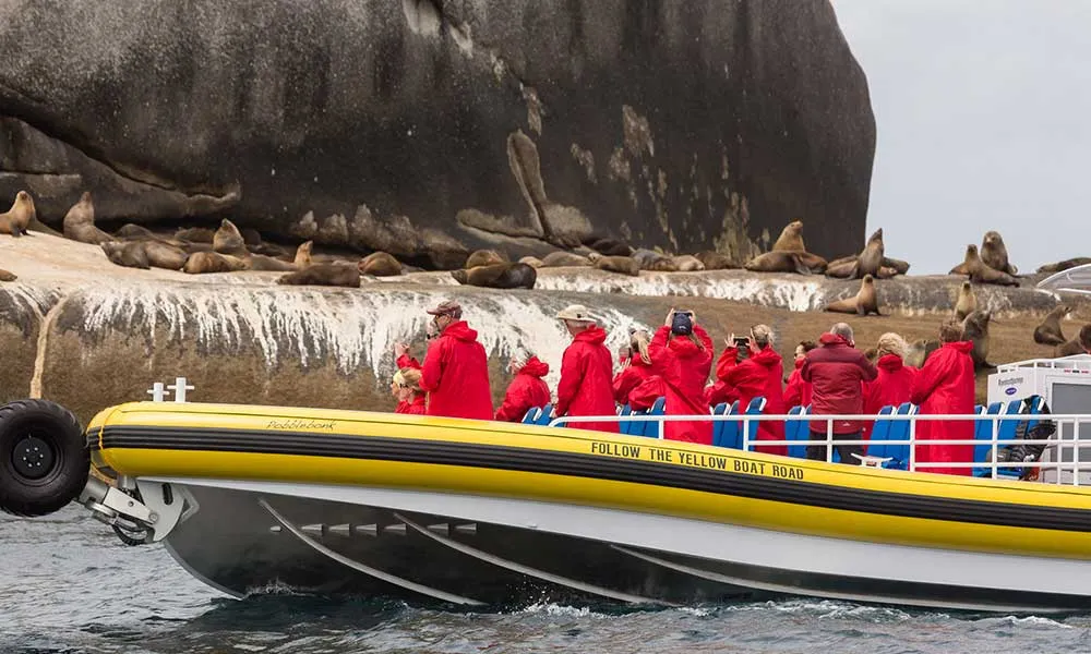 Wilsons Promontory Wilderness Cruise - Book Now | Experience Oz-3