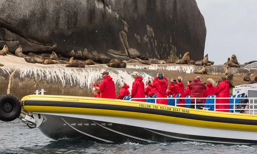 Wilsons Promontory Wilderness Cruise - Book Now | Experience Oz