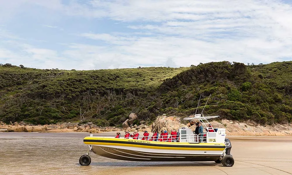 Wilsons Promontory Wilderness Cruise - Book Now | Experience Oz-4