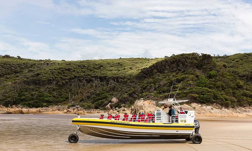 Wilsons Promontory Wilderness Cruise - Book Now | Experience Oz