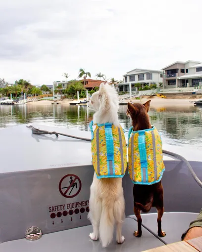 Gold Coast Electric Boat Hire - 3 Hours | Experience Oz