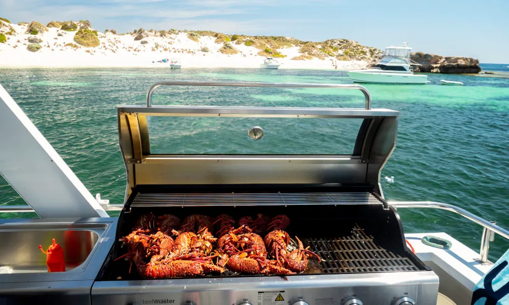 Rottnest Island Seaplane and Seafood Tour - Book Now | Experience Oz-3