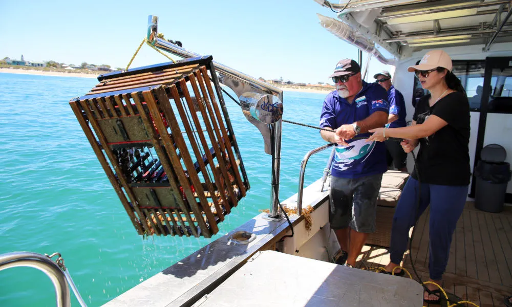 Rottnest Island Seaplane and Seafood Tour - Book Now | Experience Oz-6