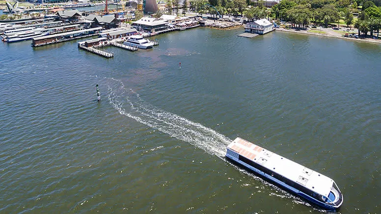 Fremantle to Perth One Way Cruise | Experience Oz