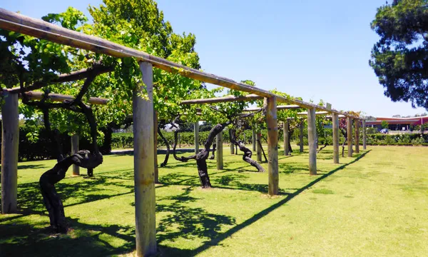 Swan Valley Wine Cruise inc Mandoon Wine Tastings and Platter Lunch