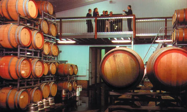 Swan Valley Wine Cruise inc Mandoon Wine Tastings and Platter Lunch