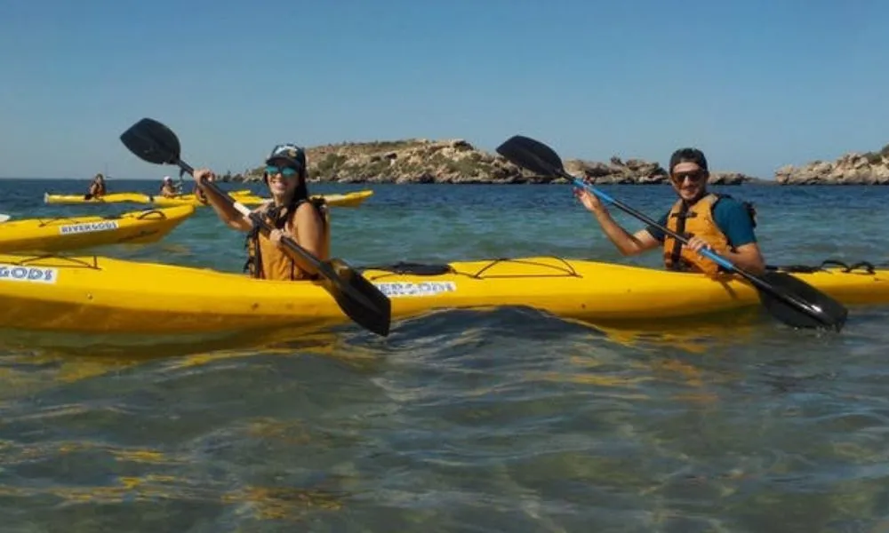 Seal and Penguin Islands Sea Kayak | Experience Oz		-1