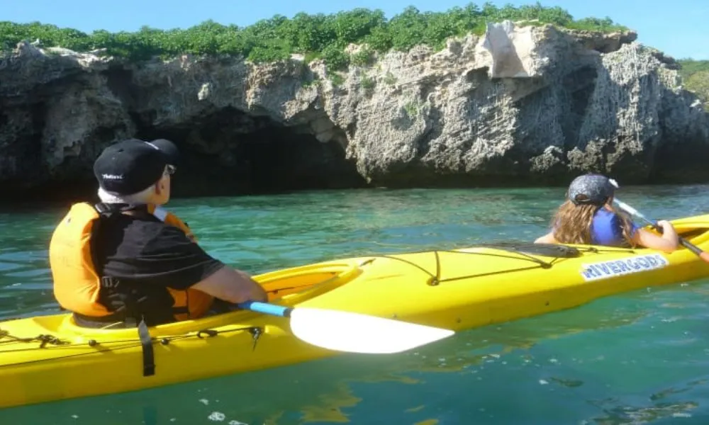 Seal and Penguin Islands Sea Kayak | Experience Oz		-4