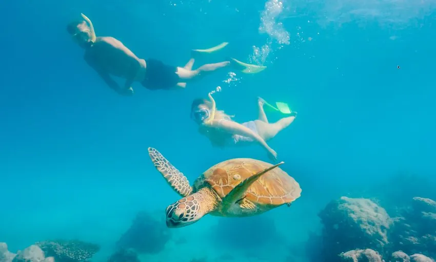 Cairns to Green Island Day Trip | Experience Oz