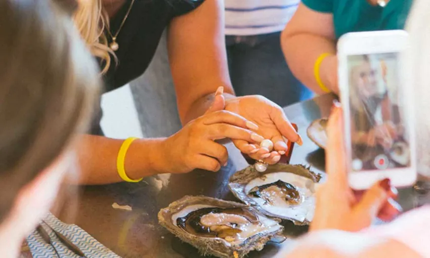 Willie Creek Pearl Farm Tour from Broome - Buy Now | Experience Oz