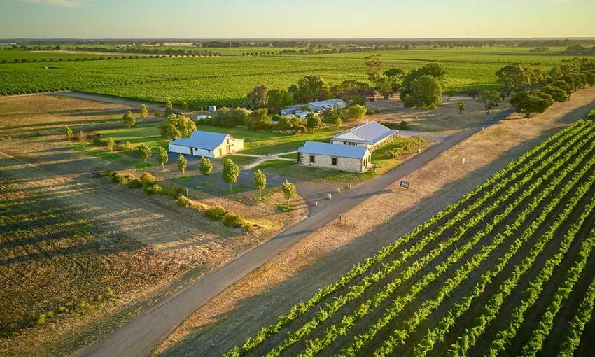 Katnook Estate Limited Release Wine Tasting  & Platter | Experience Oz