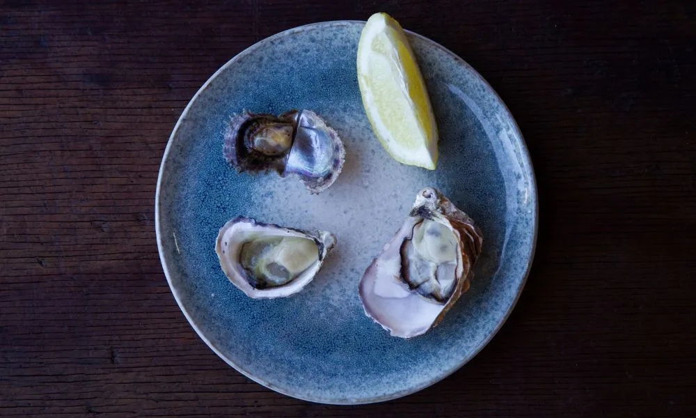 Broken Bay Pearl Farm Oyster Tasting Tour | Experience Oz-2