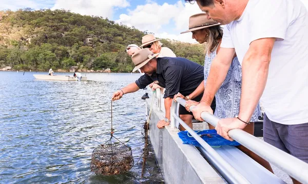 Hawkesbury River Cruise and Oyster Tasting - 90 Minutes