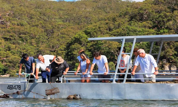 Hawkesbury River Cruise and Oyster Tasting - 90 Minutes