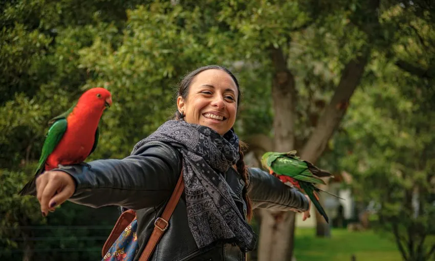 Great Ocean Road Sunset Tour - Book Now | Experience Oz