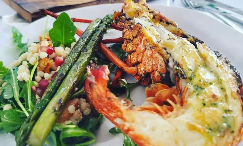 Rottnest Island Luxe Seafood Cruise - Book Now | Experience Oz