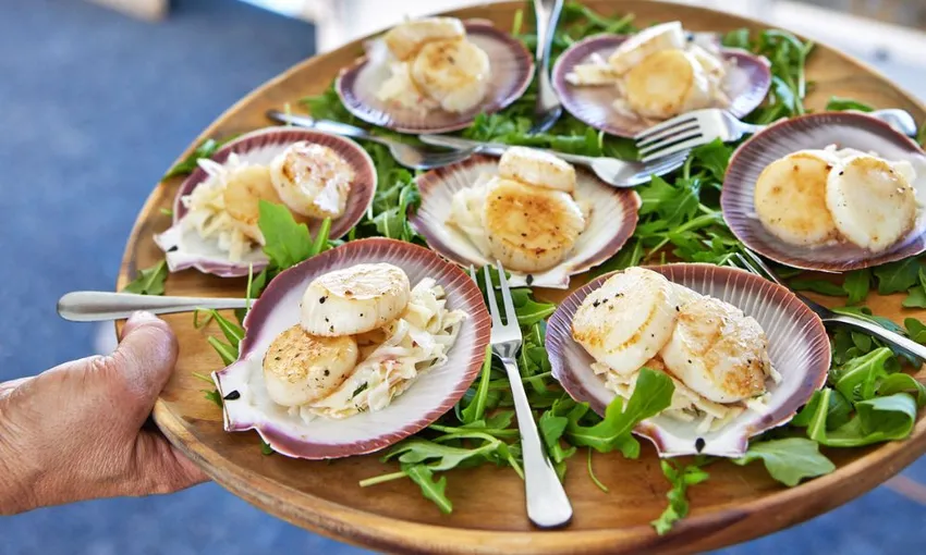 Rottnest Island Luxe Seafood Cruise - Book Now | Experience Oz