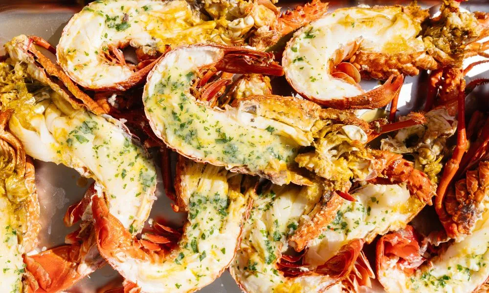 Rottnest Island Luxe Seafood Cruise - Book Now | Experience Oz-9