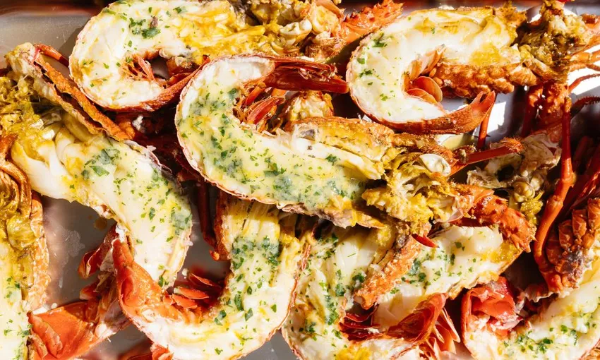 Rottnest Island Luxe Seafood Cruise - Book Now | Experience Oz