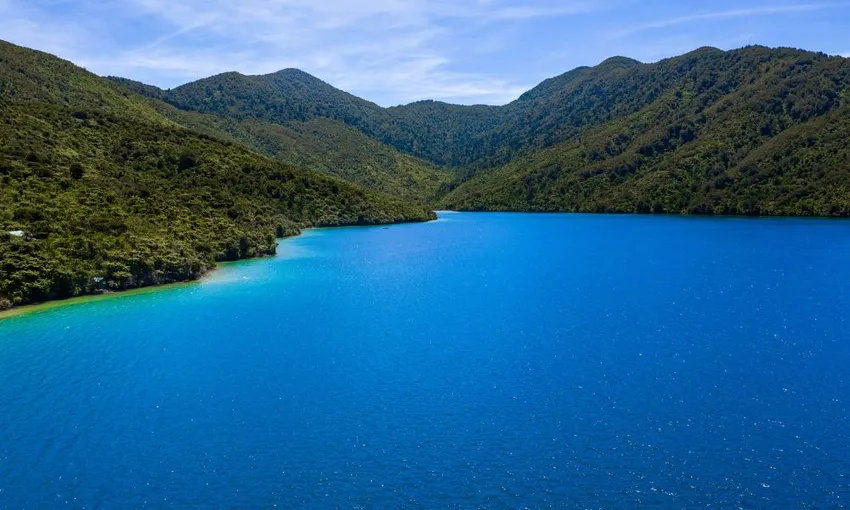 Marlborough Icons Full Day Tour - Book Now | Experience Oz