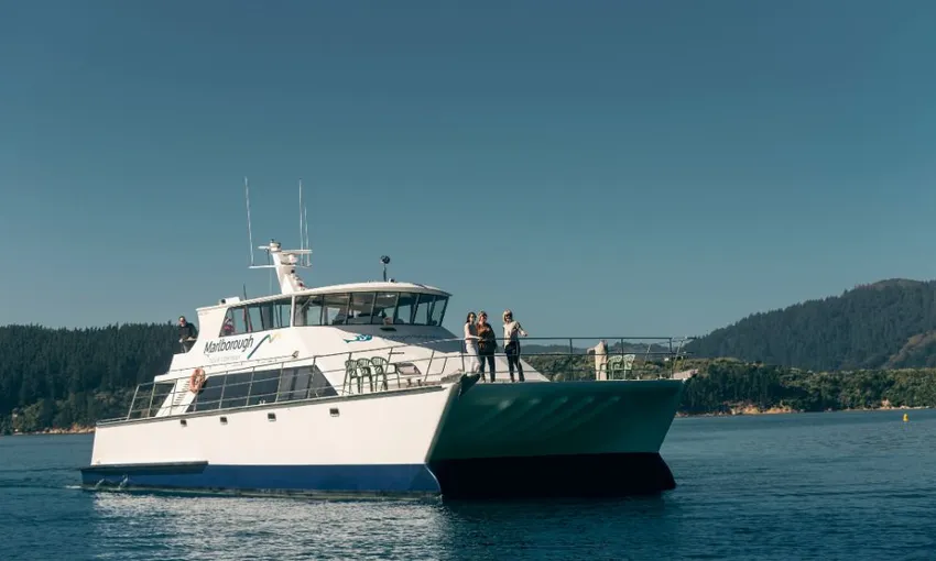 Marlborough Icons Full Day Tour - Book Now | Experience Oz