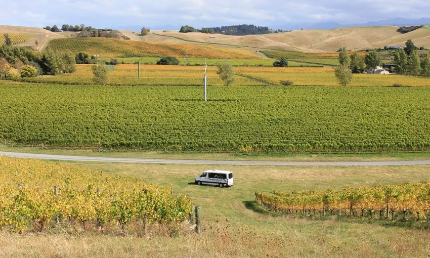 Marlborough Icons Full Day Tour - Book Now | Experience Oz