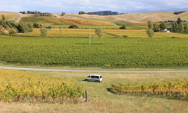 Marlborough Icons Full Day Tour