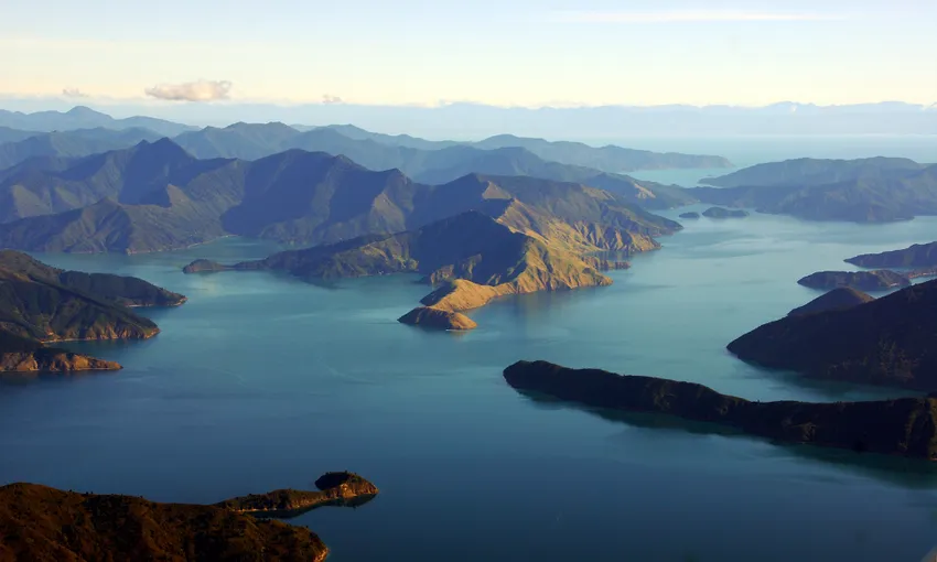 Marlborough Icons Full Day Tour - Book Now | Experience Oz
