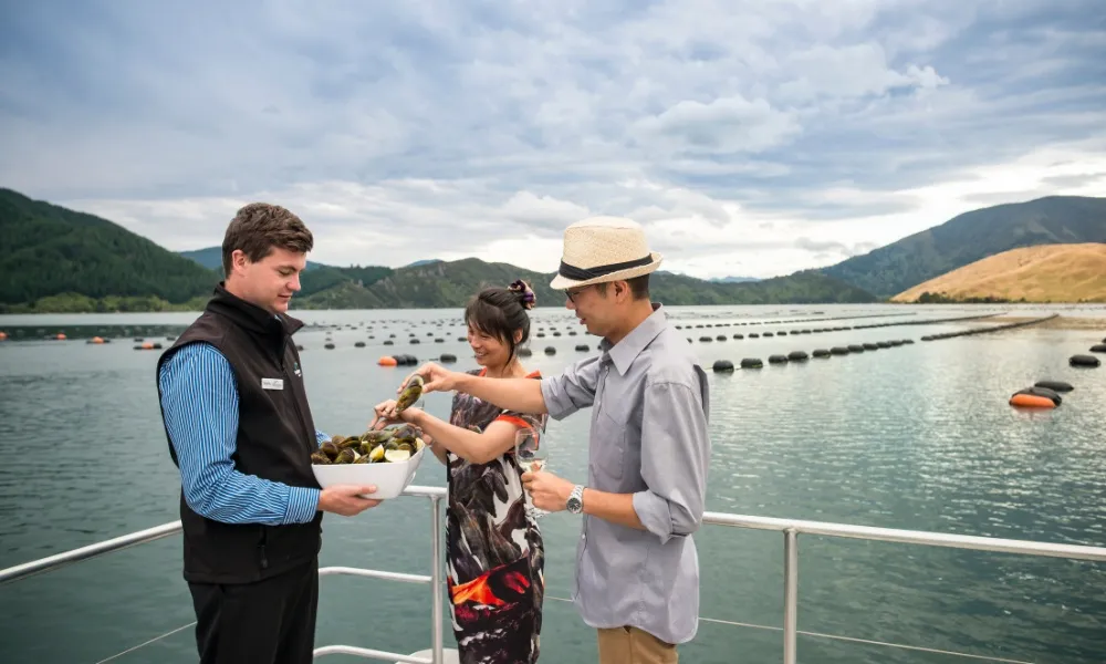 Original Greenshell Mussel Cruise in Picton | Experience Oz-3