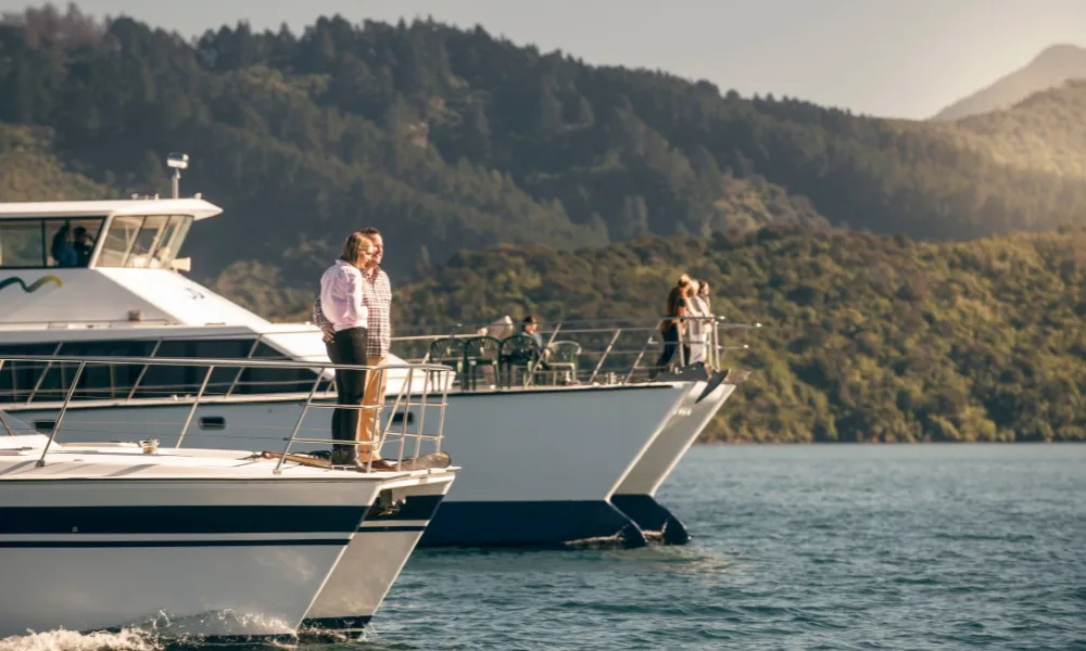 Original Greenshell Mussel Cruise in Picton | Experience Oz-4