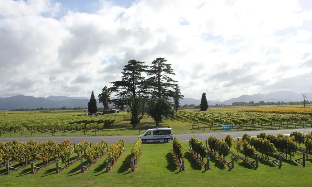 Small Group Marlborough Wine Tasting Tour | Experience Oz-1